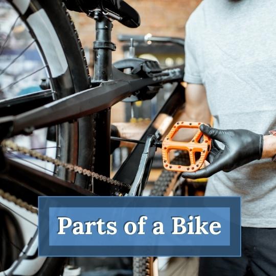 Parts of a Bike