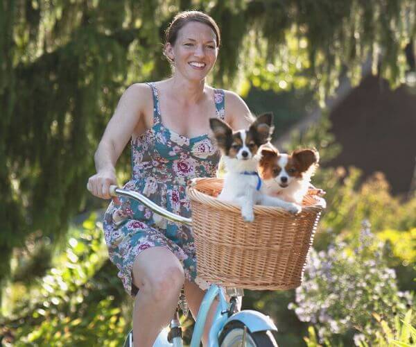 Do Dogs Like Bike Rides